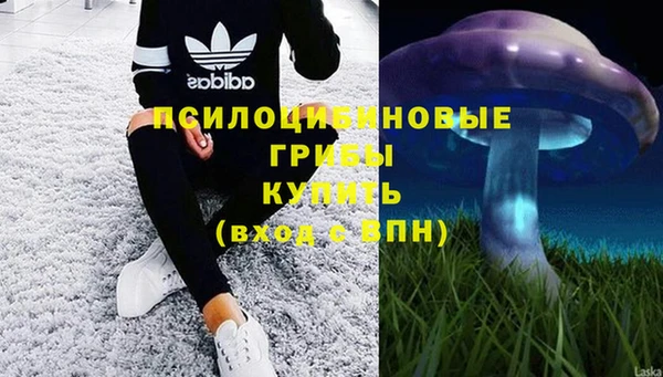 spice Волоколамск