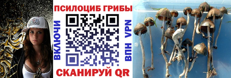 Галлюциногенные грибы ЛСД  Купить где  Павловский Посад 